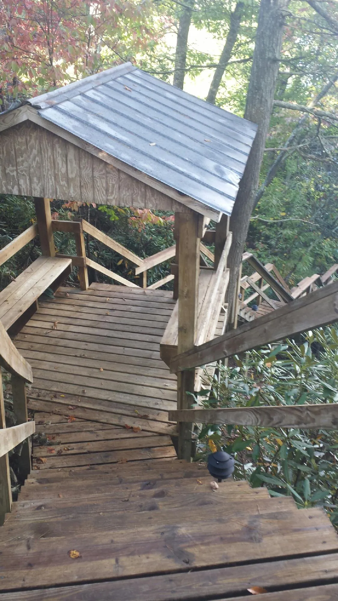 Metal roofed shelter over wooden steps on a wooded walkway — Skylight Repair & Installation work by our crew in Moultrie